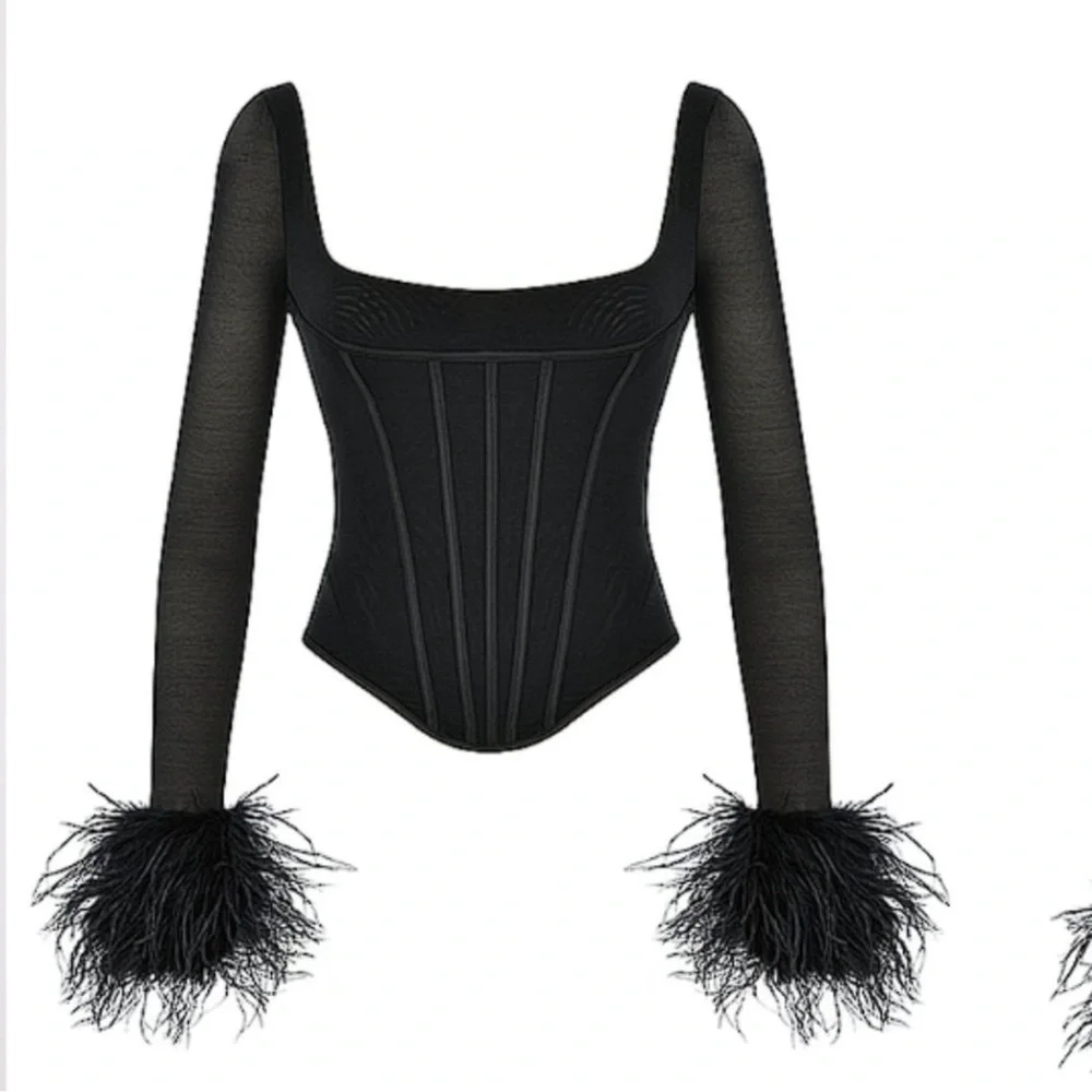 House of CB ‘Stella’  Black Mesh Trimmed Corset Small US4-6 - Picture 3 of 5
